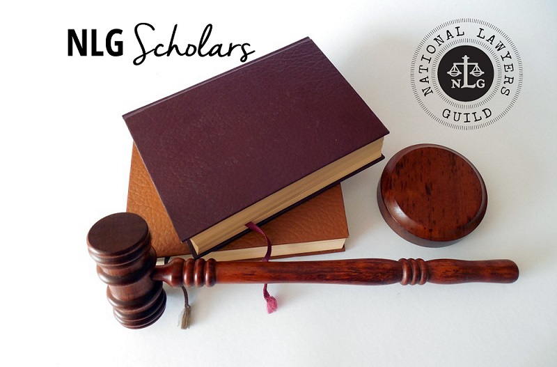 nlg-scholars-banner-2