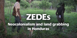 zedes