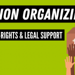 Election Organizing Know-Your-Rights and Legal Support